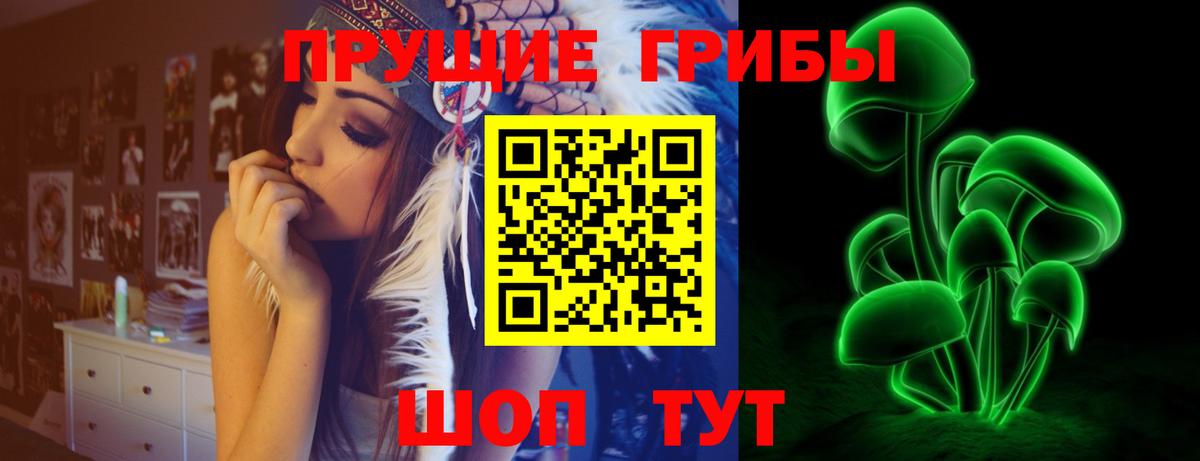 Елец  где найти   Вход с VPN  Галлюциногенные грибы GOLDEN TEACHER 